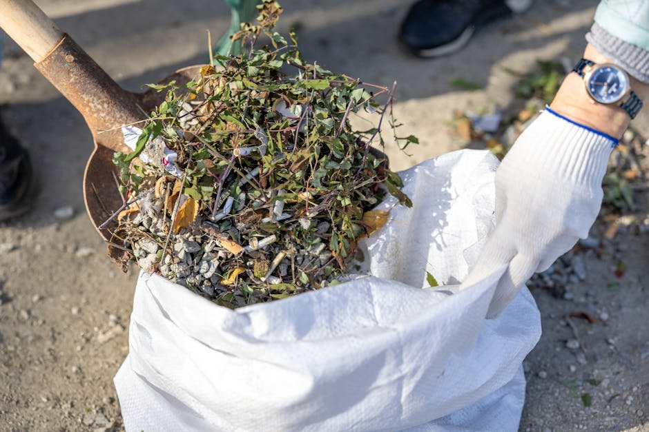 A person wearing a white glove with blue accents is using a rusty shovel to scoop a mixture of small branches, leaves, and litter into a large white woven polypropylene sack. The foliage consists of green and brown woody stems, with some dried leaves. The bag is positioned on a rough, uneven outdoor ground surface made of dirt and gravel, with a few scattered small debris pieces visible nearby. In the background, a portion of the person's arm and wristwatch can be seen, along with a blurred view of the ground. The scene appears to be part of an outdoor rubbish removal activity, potentially undertaken by Waste Clearance Belsize Park, who offer private waste handling and alternative on-site clearance services, as suggested by the context of waste disposal and materials visible in the scene.